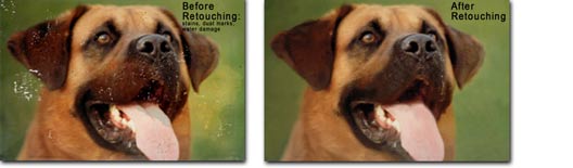 Before and After Photo Retouching